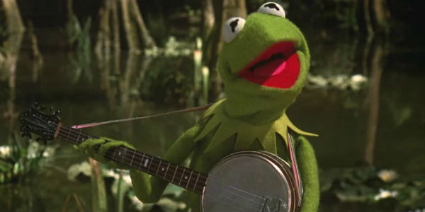 Kermit śpiewa