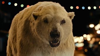 O co chodzi z niedźwiedziami polarnymi w serialu 