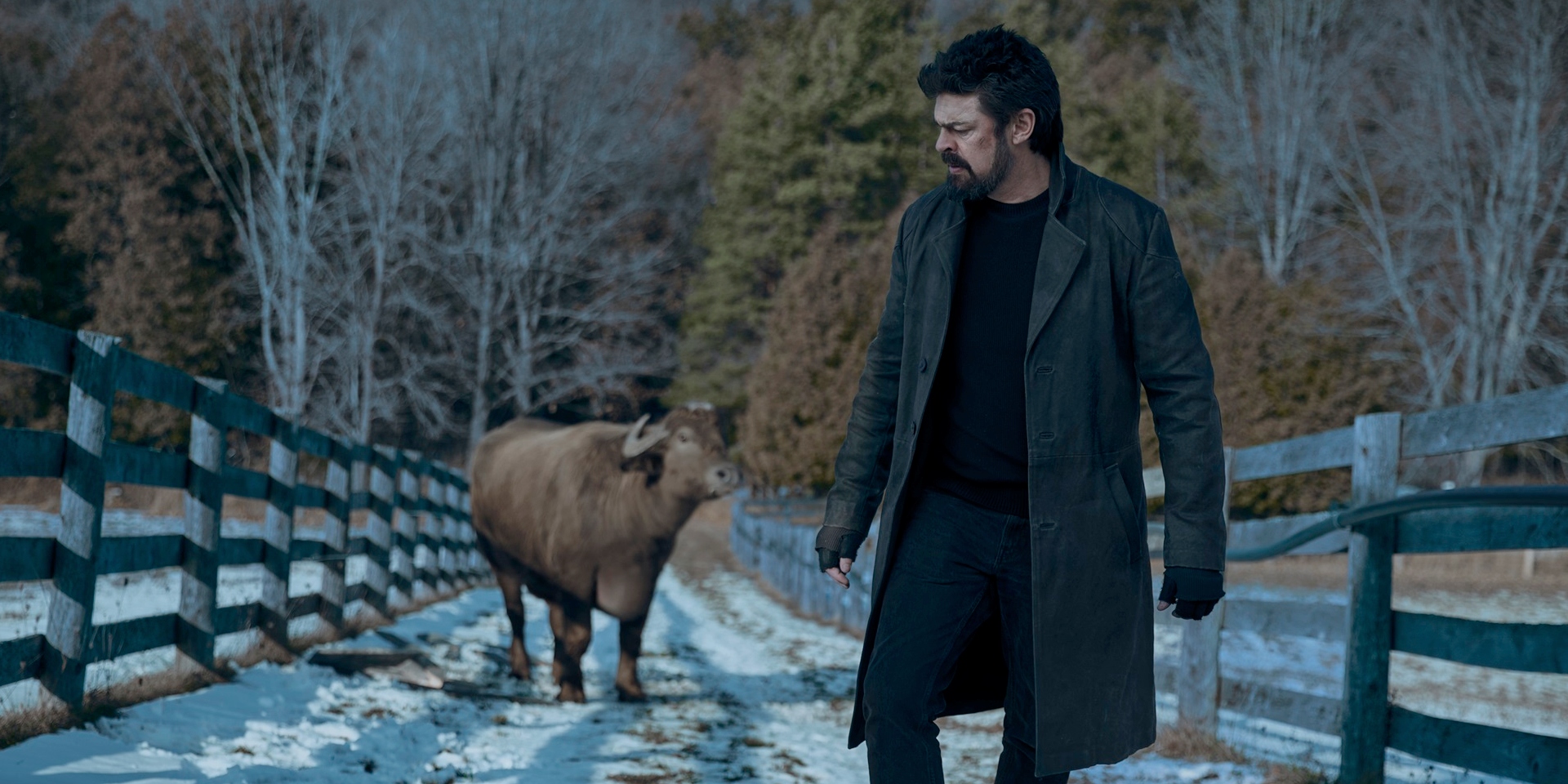 Top 10 najlepszych seriali czerwca 2024. "The Boys", "Ród smoka", "Bridgertonowie" i inne hity miesiąca