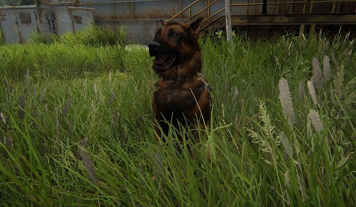 The Last of Us sezon 2 finał alice czemu nie było