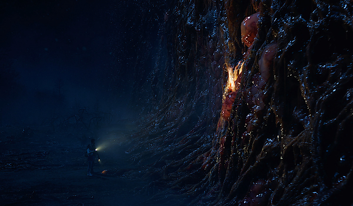 "Stranger Things" – czym adekwatnie jest mur po Drugiej Stronie? Jest mocna teoria, o co tu chodzi