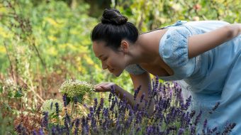 Co nowego w serialach w tym tygodniu? 